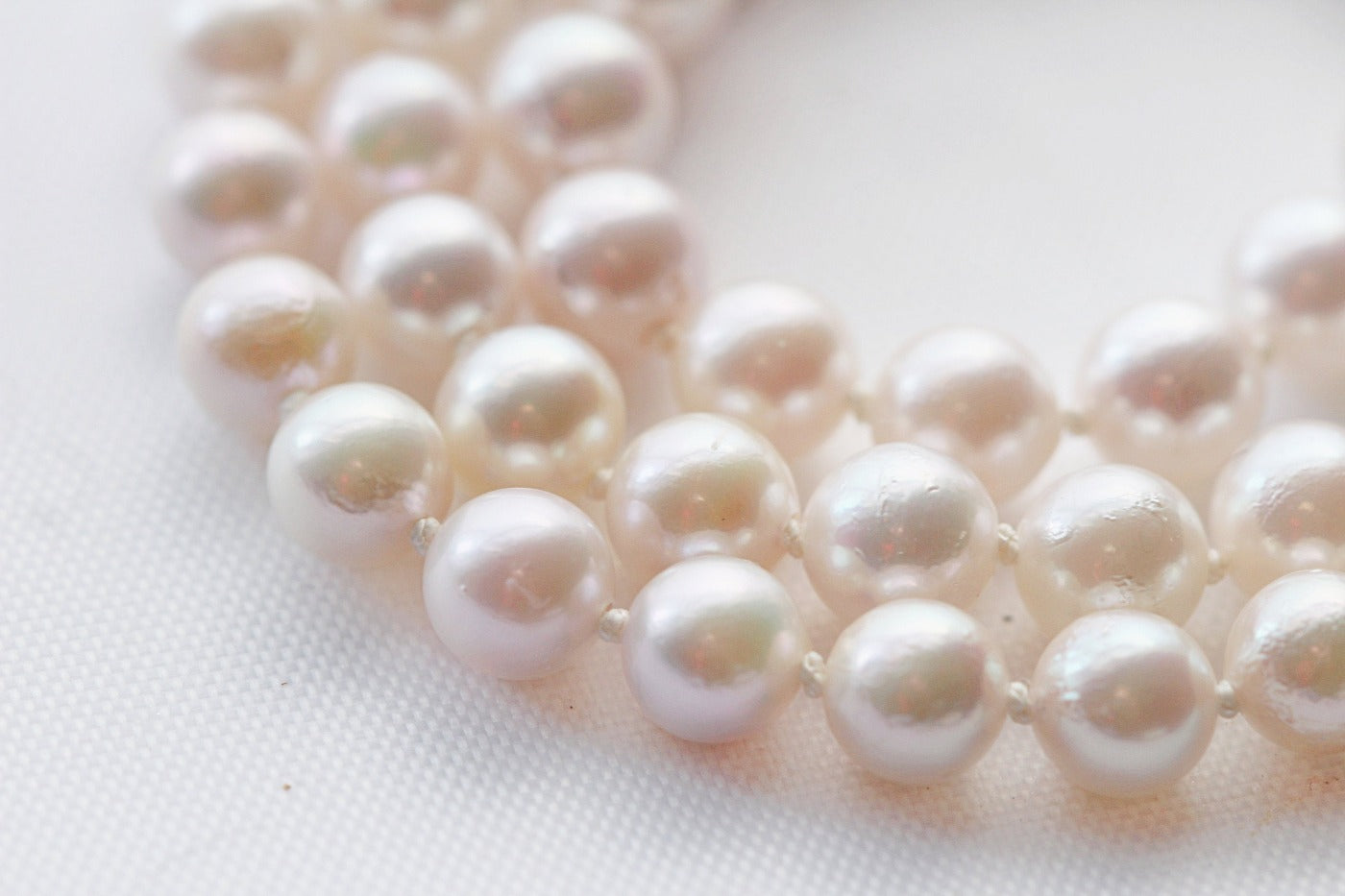 Rosé Akoya Classic Pearl Necklace | The Pearled Squirrel