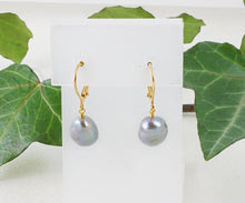 Load image into Gallery viewer, Cirrus Gray Pearl Drop Earrings
